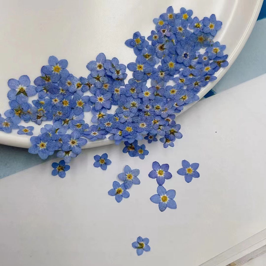 60 قطعة من الزهور المجففة الصغ - مراجعة Resin Art Baby وسعره